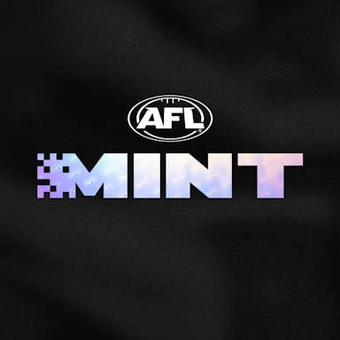 AFL Mint Allowlist - Flowverse image